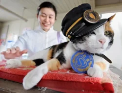 Inovasi Jepang Kucing Jadi Kepala Stasiun AI Jadi Pemimpin Parpol p6