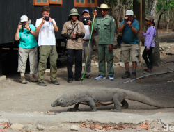 Turis Australia Rugi Rp 500 Juta, Barang-barangnya Dicuri Saat Snorkeling di Pulau Komodo