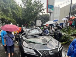 Pohon Tumbang Timpa Mobil di Rempoa, Ibu dan Anak Alami Luka