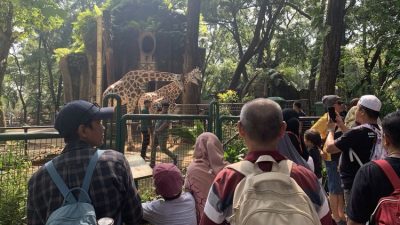 Libur Natal Pengunjung Ragunan