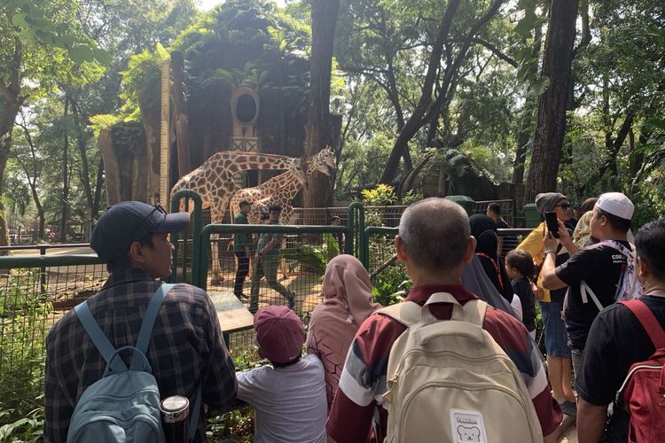 Libur Natal Pengunjung Ragunan