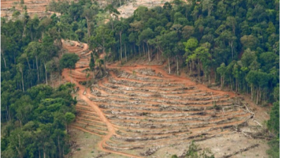 Sumbar Kehilangan 20.000 Hektar