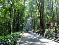 Revitalisasi Cagar Alam Depok Warlok Oke tapi Parkir dan Potensi Macet Bagaimana