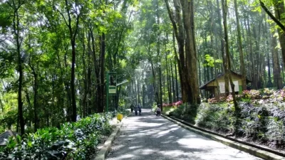 Revitalisasi Cagar Alam