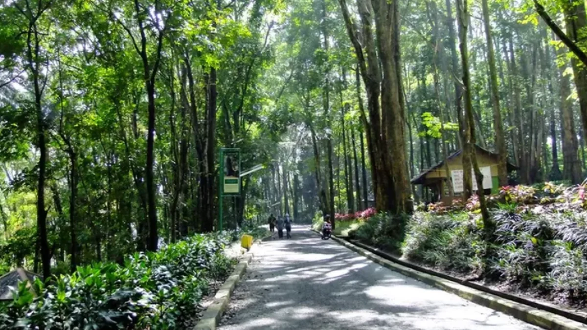 Revitalisasi Cagar Alam