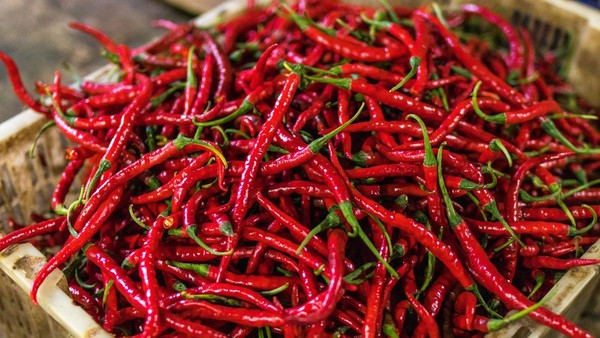 Pramono Klaim Harga Cabai