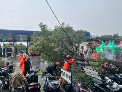 BMKG Ungkap Wilayah DIY yang Berpotensi Hujan Saat Kemarau 2026