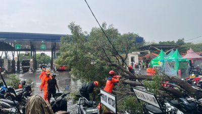 BMKG Ungkap Wilayah DIY