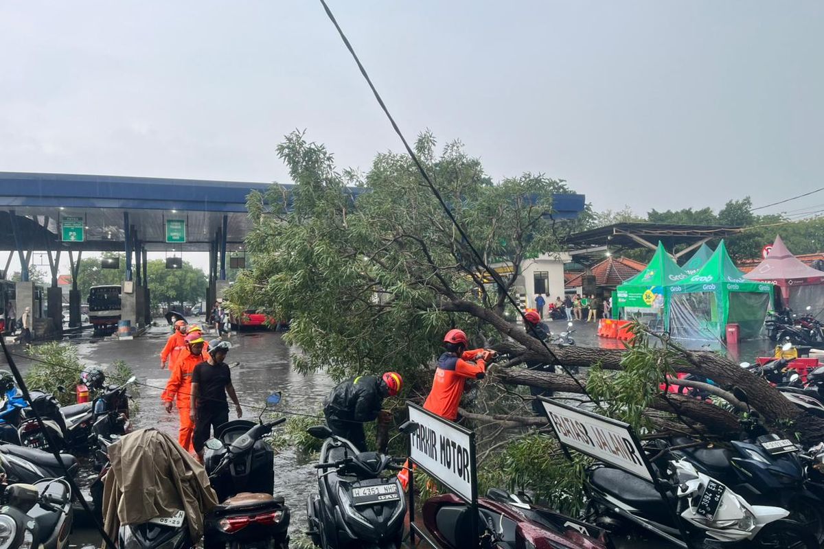 BMKG Ungkap Wilayah DIY