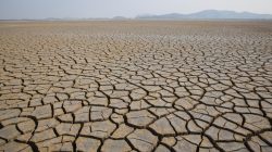 Perbedaan Kemarau dan El Nino Ini Dampak dan Waktu Terjadinya di 2026