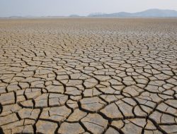Perbedaan Kemarau dan El Nino Ini Dampak dan Waktu Terjadinya di 2026