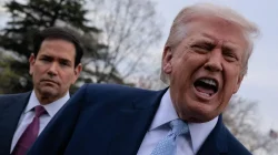 Donald Trump antara TACO dan Strategi