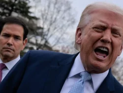 Donald Trump antara TACO dan Strategi